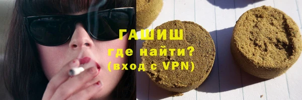 твердый Долгопрудный