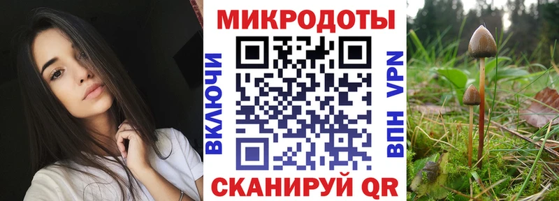 Галлюциногенные грибы мухоморы  закладка  OMG зеркало  Камень-на-Оби 